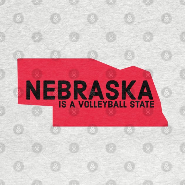 Nebraska is a volleyball state by Designedby-E